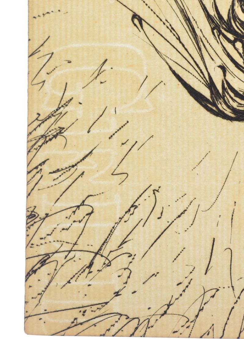 Cours naturelFrontispici