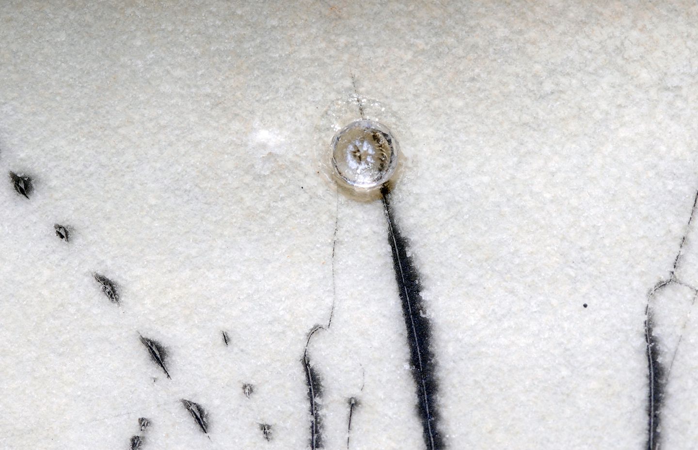 Le Creuset philosophal  (El Gresol filosofal)