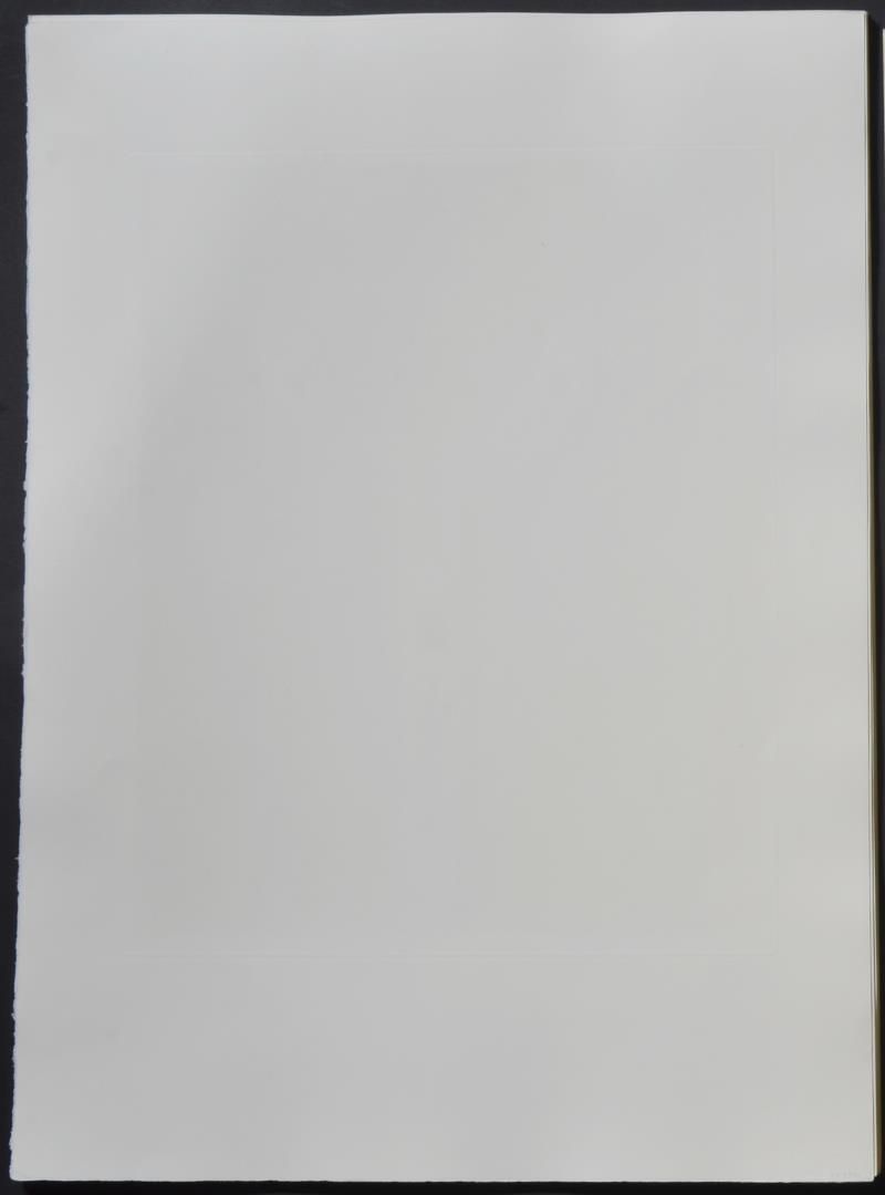 Surrealistic crutches