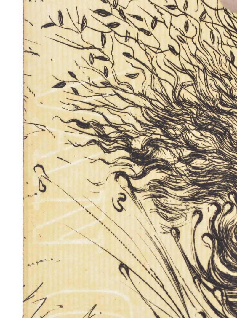 Cours naturelFrontispici