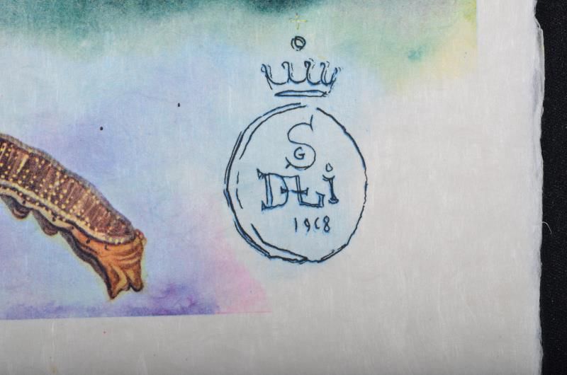 (Suite) The lobster's quadrille