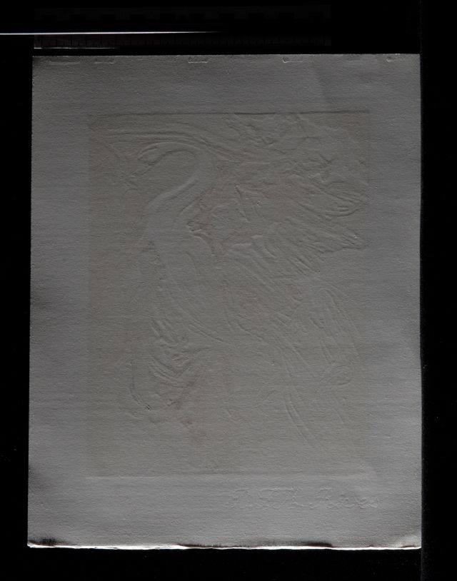 Le Langage de l'oiseau