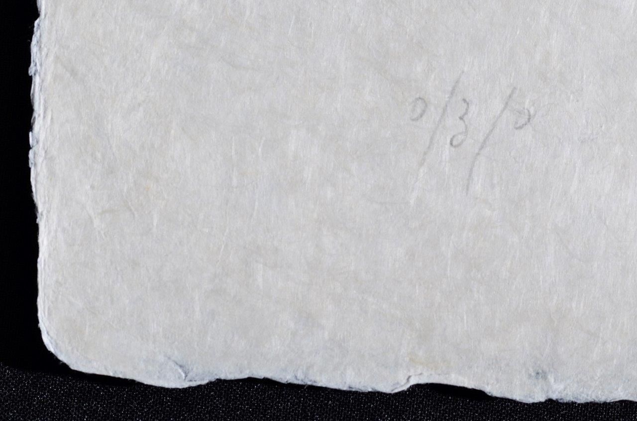 L'homme rescuscité par l'holographie de l'écureuil