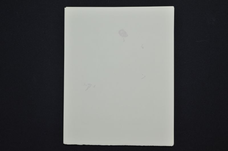 S/T (Saint Jacques et l'Espérance)