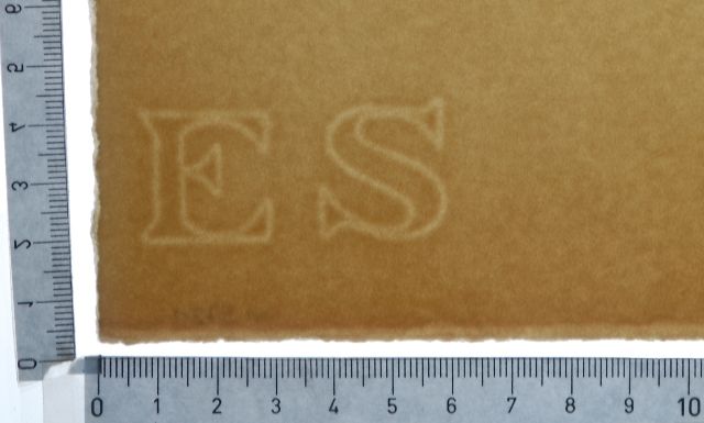 The pioneers of Israel