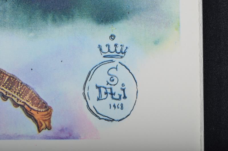 The lobster quadrille