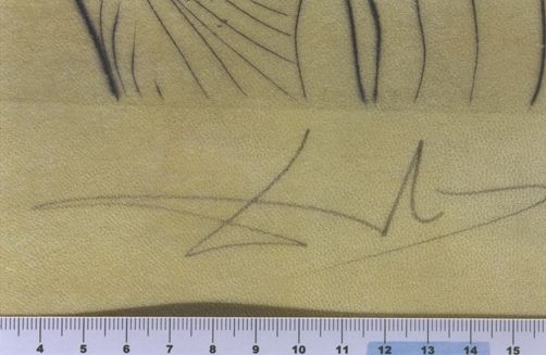 Maintenant, c'est le soir et tout le fleuve est gardé par les elephants ...