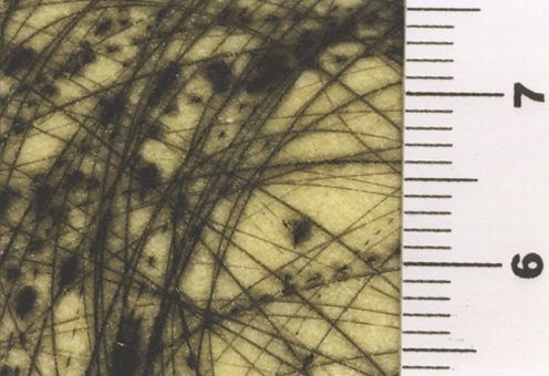 La ville orodante que traverse en silence le cheval aux sabots enveloppés par les dieux ...