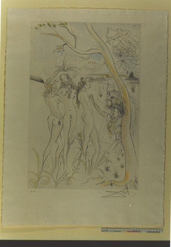 Le jugement de Paris