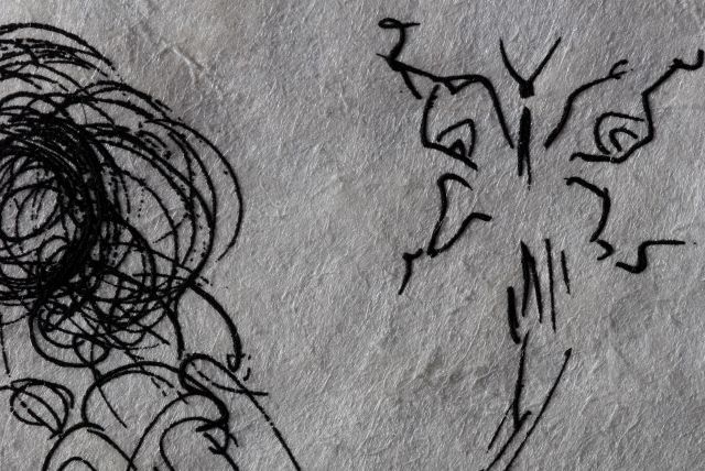 Rosa Papilio  (Rose)