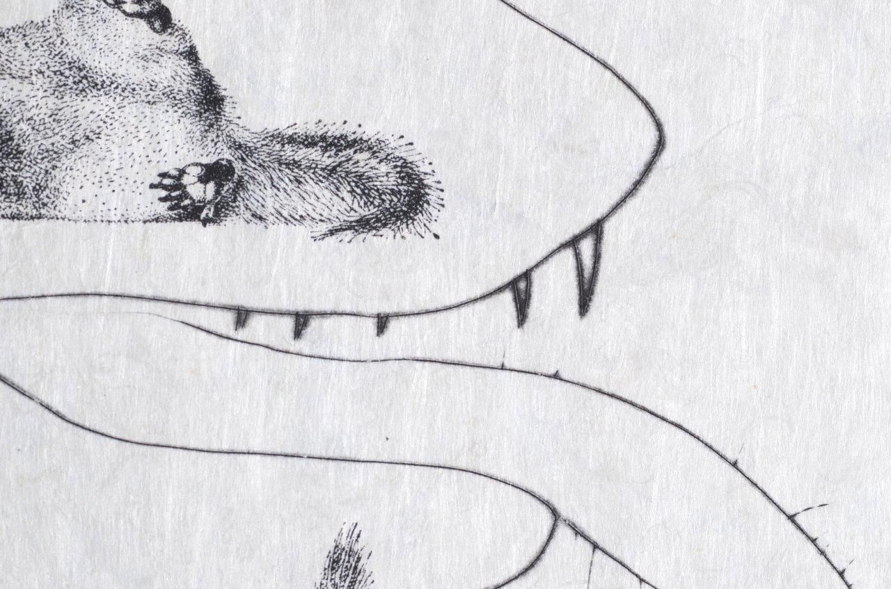 L'homme rescuscité par l'holographie de l'écureuil