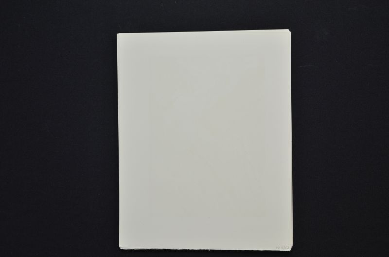 S/T (Rencontre de deux troupes de luxurieux)