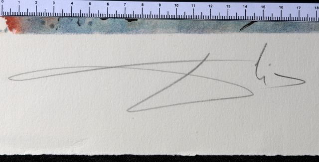 Le chevalier moyenâgeux