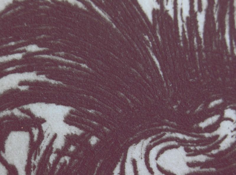 Cours naturelFrontispici