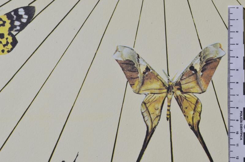 The eye of Surrealistic time