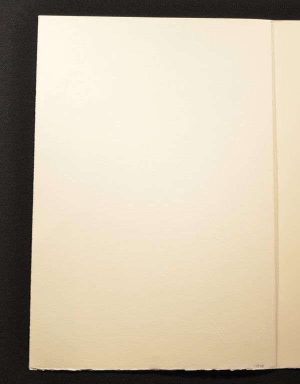 The rabbit sends in a little bill