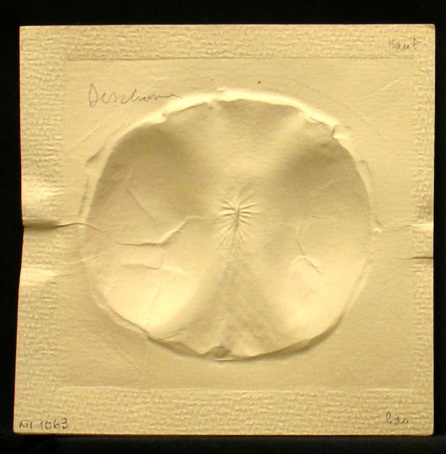 Prova de taller per a la sèrie 