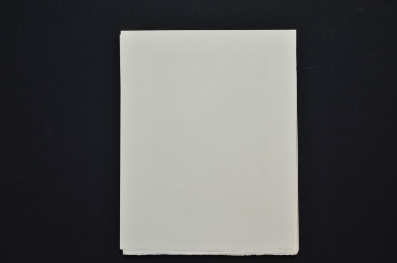 S/T (Rencontre de deux troupes de luxurieux)