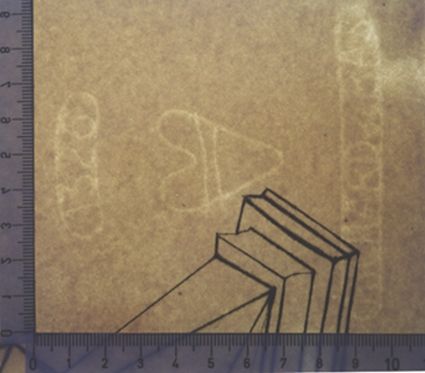 L'immortalité de Castor et Polux