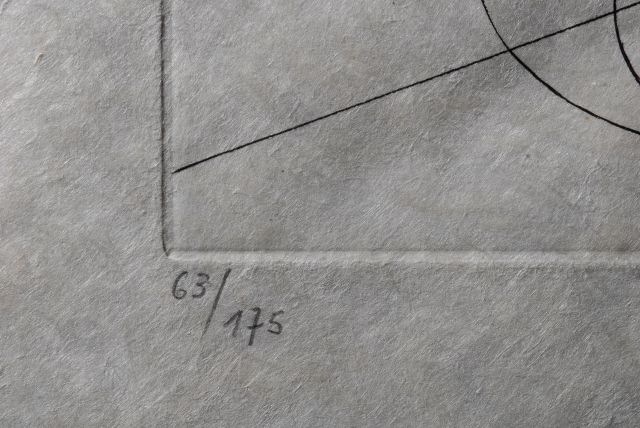 Rosa Papilio  (Rose)