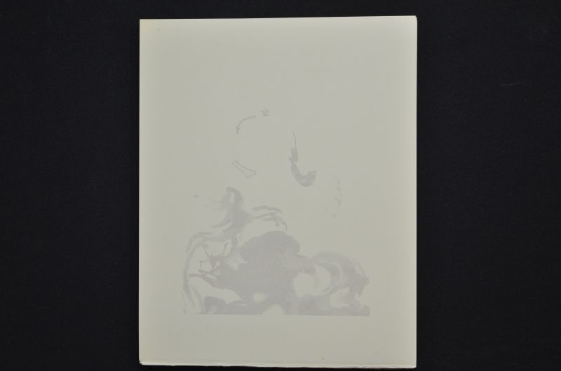 S/T (Le Premier ciel)