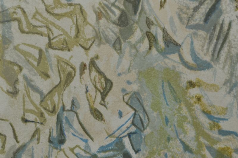 La prescience Divine