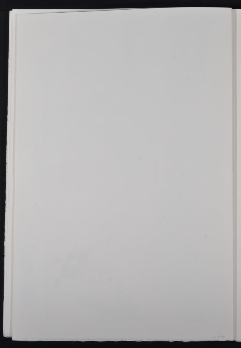 A caucus race and long tale