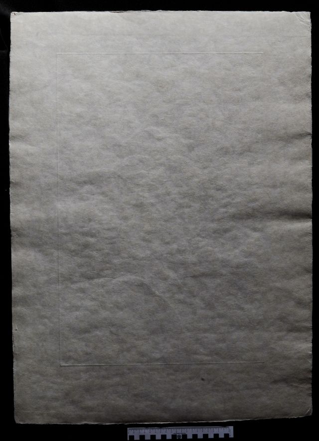 Lilium musicum (Lys)