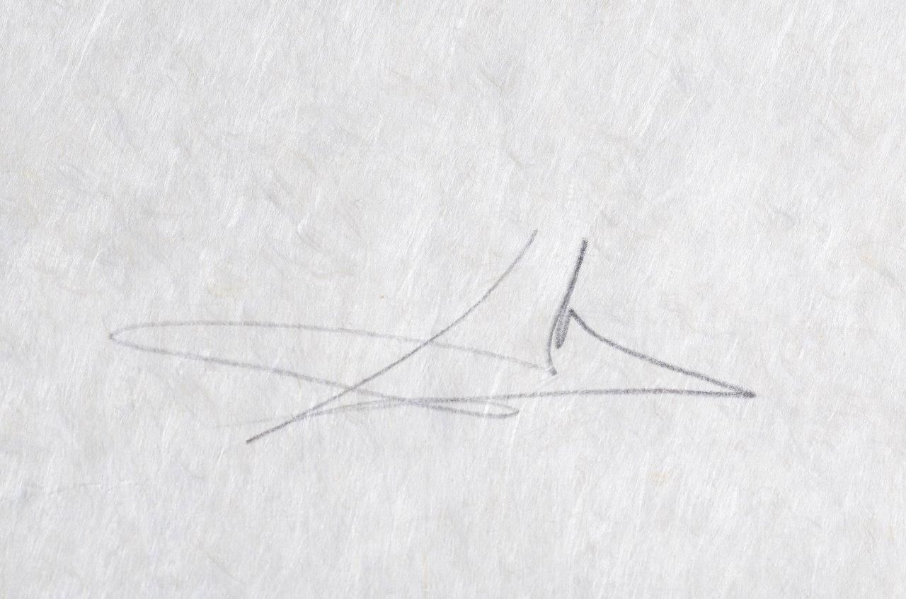 L'homme rescuscité par l'holographie de l'écureuil