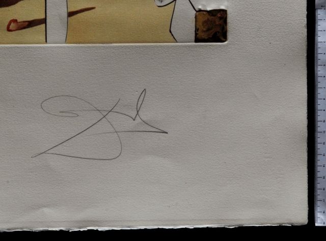 Infraterrestres adorés par Dalí a six ans quand il se croyait insecte