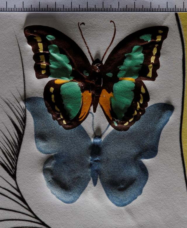 Papillons de l'anti-matière