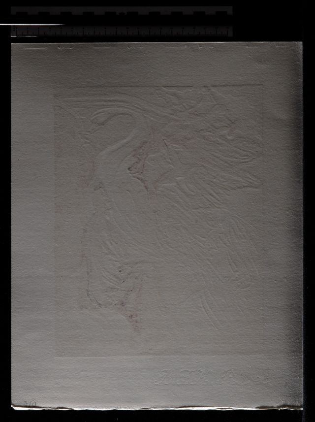 Le Langage de l'oiseau