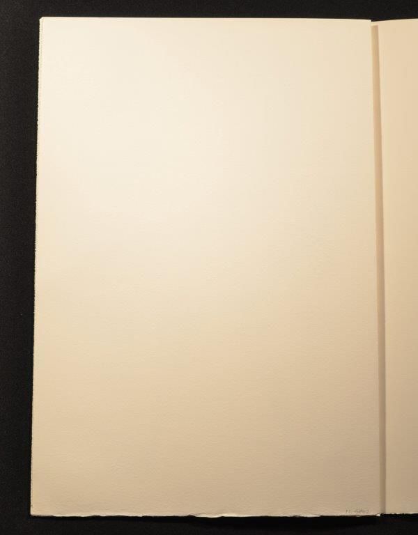 The Queen's croquet ground