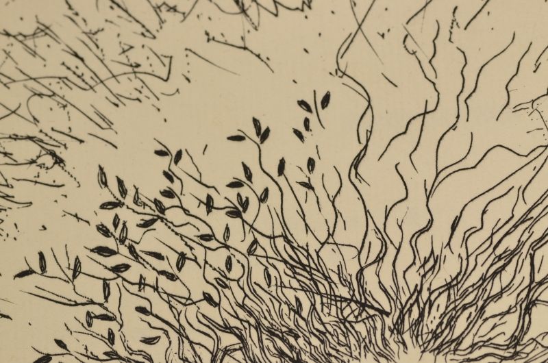 Cours naturelFrontispici