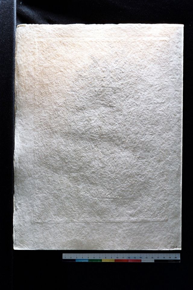 Caballero con casco y mariposas