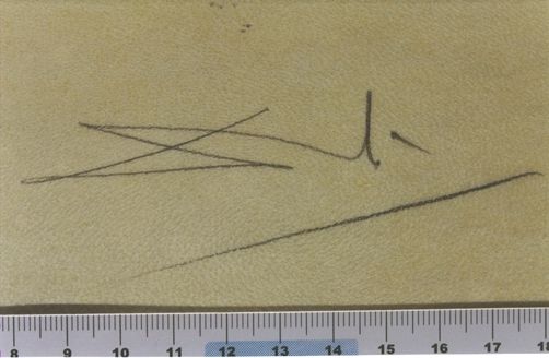 Comment sont ses yeux ? Tiens, un bleu et un noir - Alexandre de Macédoine