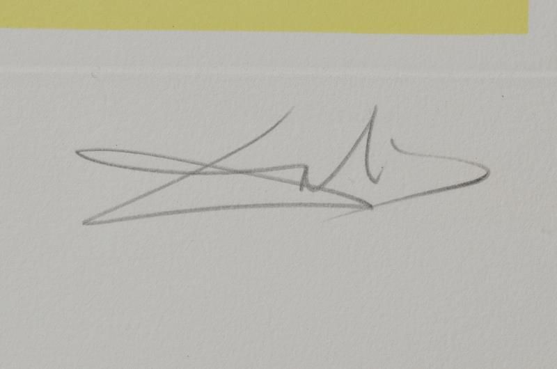 Caring for a Surrealistic watch