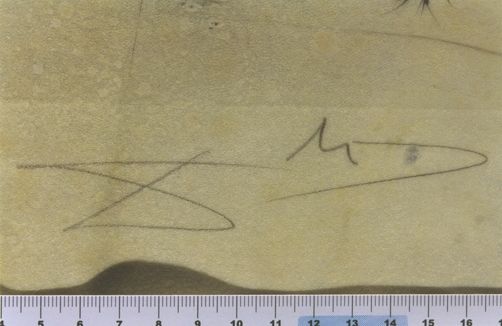 Il y a des soldats tout hérissés de points de fer comme les chataignes ils portent des faux ...