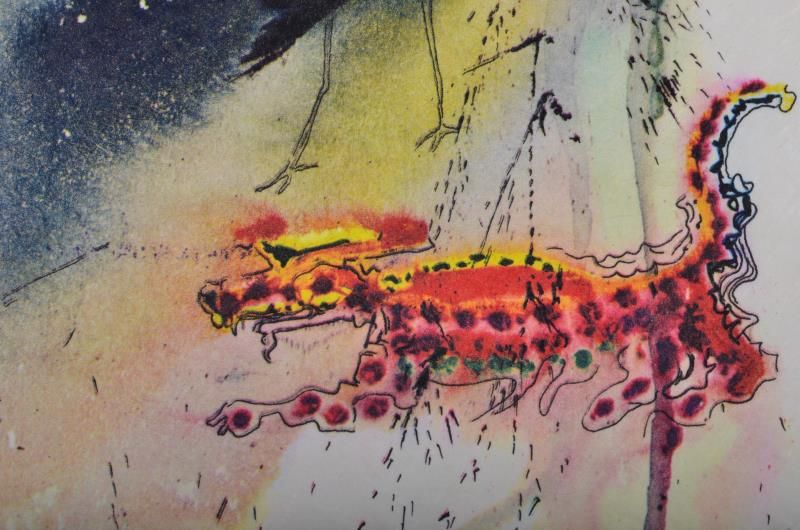 (Suite) A caucus race and a long tale