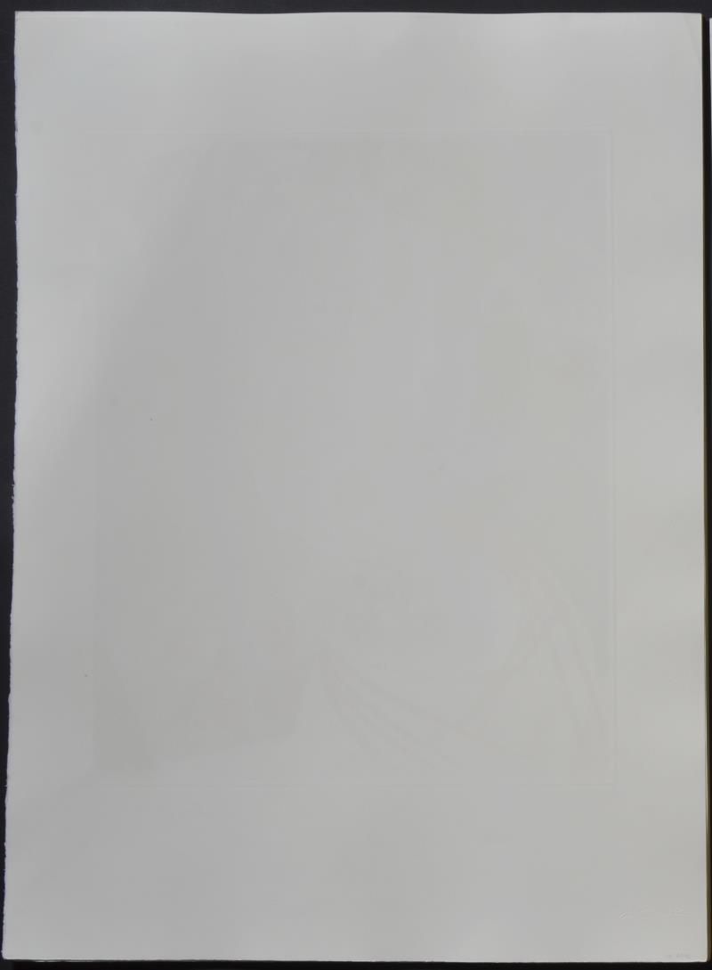 Crazy, crazy, crazy, Minerva