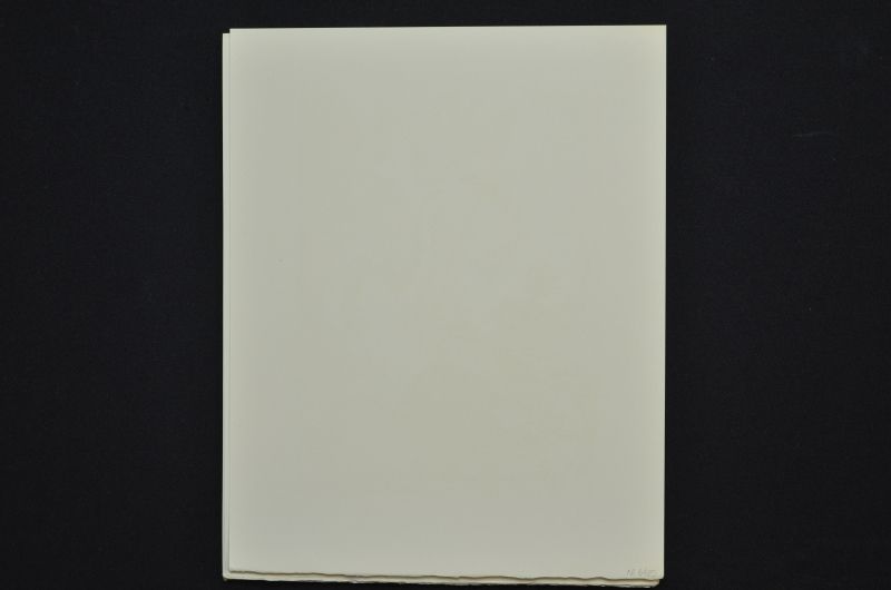 S/T (Le Premier ciel)