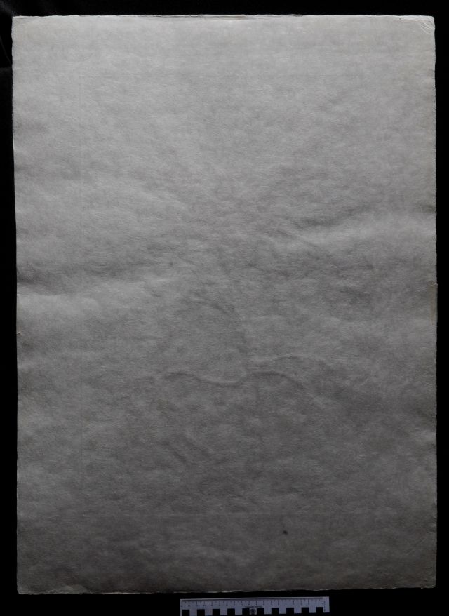 Dahlia Unicornis (Dahlia)