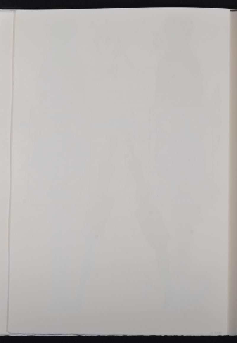 The Queen's croquet ground