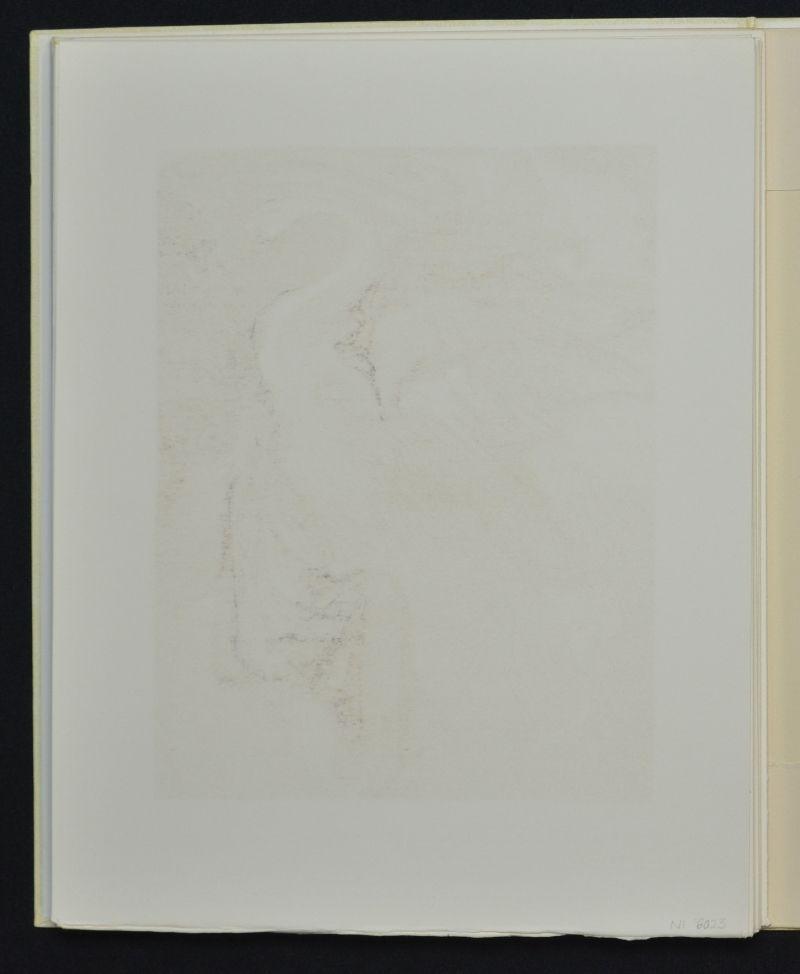 Le Langage de l'oiseau