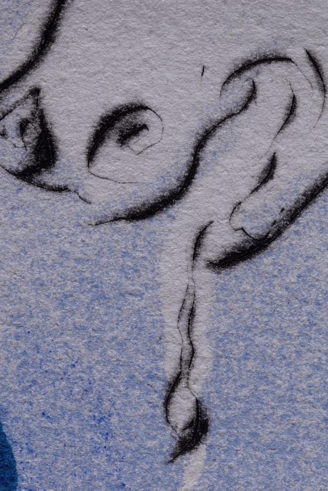 L'unicorne laser désintégre les cornes de rhinoceros cosmique