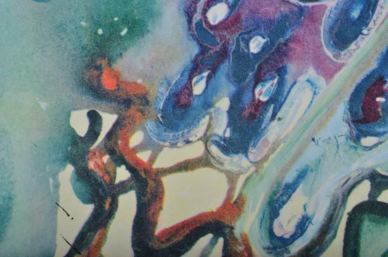 (Suite) The pool of tears