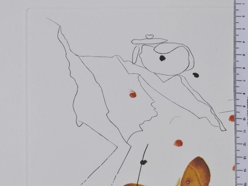 Surrealistic portrait of Dali surrounded by butterflies