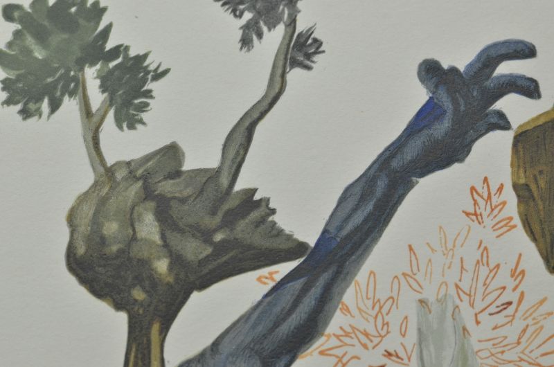 La Fôret des suicidés