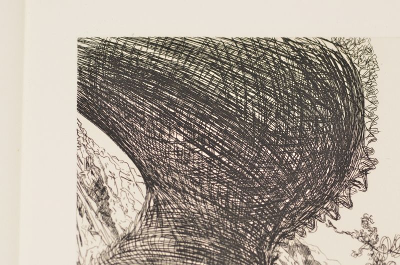 S/T [figura aixafada]