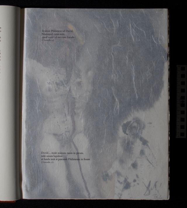 David et Philistaeus (Et dixit Philistaeus ad David ...)